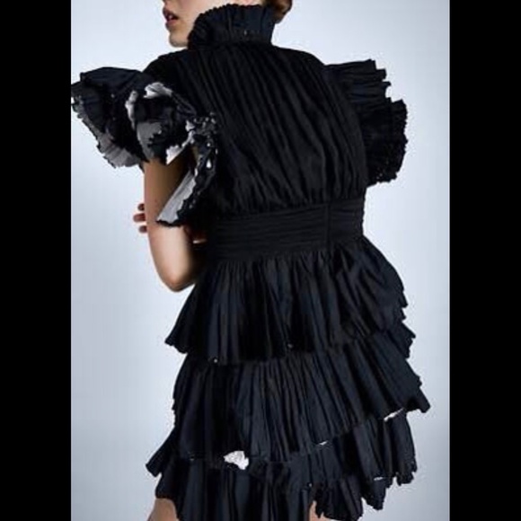 Zara Ruffled Sleeve Top - Picture 10 of 10